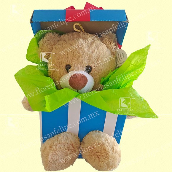 Osito Regalo Sorpresa